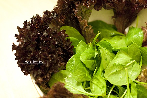 以羊排和紅酒，來迎接棒球經典賽台日對決